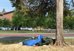 Placer_county_admin_homeless