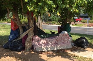 Placer_tree_shaded_homeless_tent