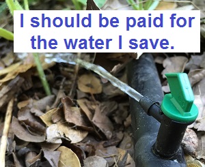 What is a homeowner's incentive to conserve water when farmers make money selling their water?