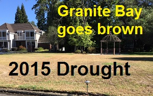 Granite Bay goes brown to conserve water.