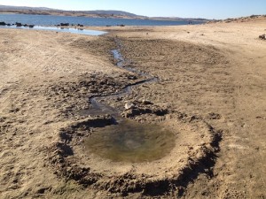 In early spring, as Folsom Lake receded, a child had created a small berm around the bubbling Rock Spring. You can see how the spring water trails off to the lake or originally the N.F. American River. 