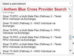Anthem Blue Cross online provider search lists networks that may be applicable for doctor searches.