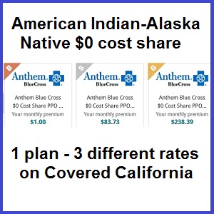 Anthem Blue Cross American Indian Native Alaskan plans have different premiums but all the benefits are the same.