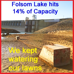 Folsom Lake hit a historic low level in 2015, but most of us kept watering our lawns.