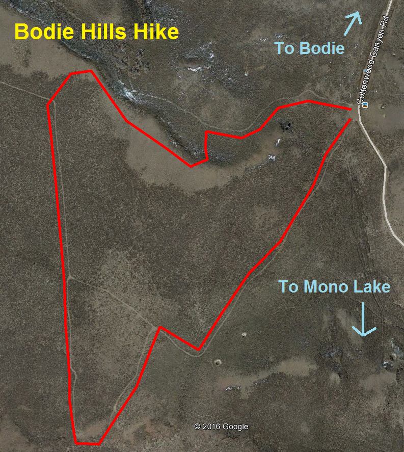 Bodie_Hills_Hike