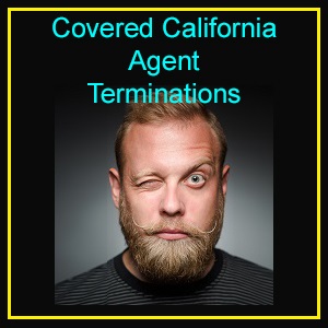 Agents, Covered California, Termination