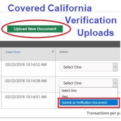 breeze california verification license