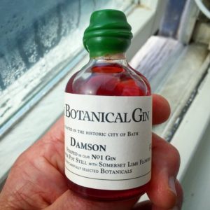 14a Botanical Gin Damson