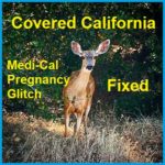 Medi-Cal Access Program For Pregnant Women