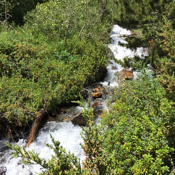 Stream side waterfall