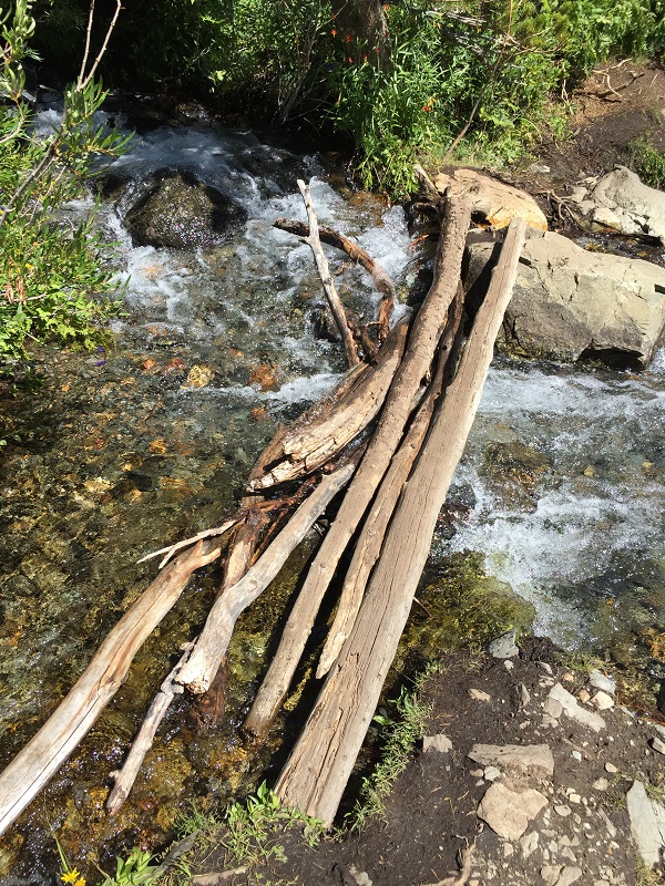 log crossing