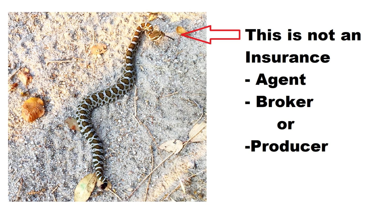 Insurance Agent, Broker, Producer, What are the differences?
