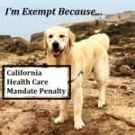 There are several household conditions that will exempt you from having to pay California's health care mandate.