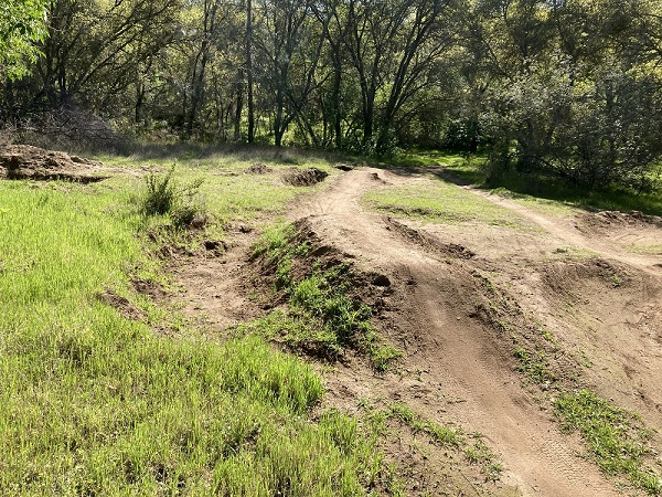 Mountain bikers (vandals) dug up this meadow to create a jump and race course at Folsom Lake.