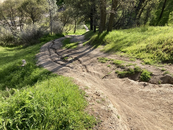 When the erosion ruts are too deep, mountain bikers just go around them widening the scar down the hill.