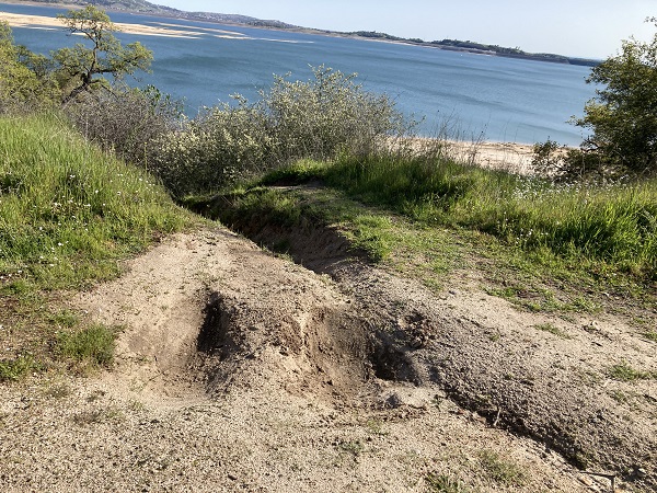Mountain bikers carved starting blocks for new unauthorized trail down Mooney Ridge at Folsom Lake.