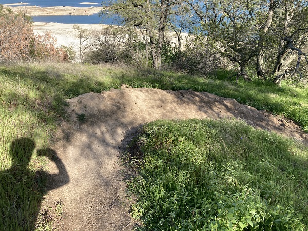 Unauthorized Mountain bike trail was cut using shovels by mountain bikers at Folsom Lake on slopes too steep.