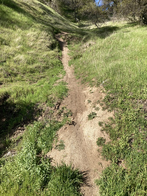 A second unauthorized mountain bike trail down a ravine from the top of Mooney Ridge.
