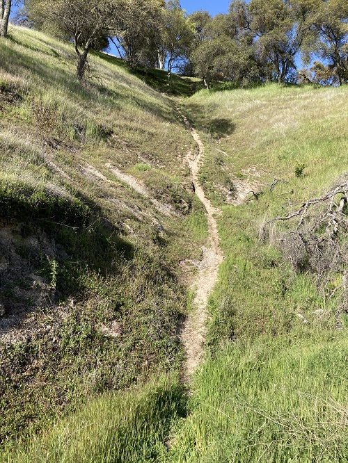 A third unauthorized mountain bike trail depicting the steep slope that the mountain bikers prefer to gain high rates of speed.