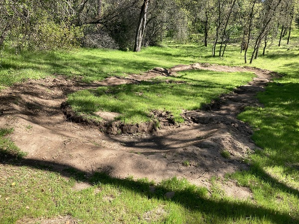 A meadow is destroyed so mountain bikers can go really fast on an oval track at Folsom Lake State Recreation Area.
