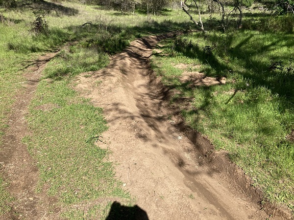 Banked curve created by mountain bikers to a BMX course north of Folsom Lake.