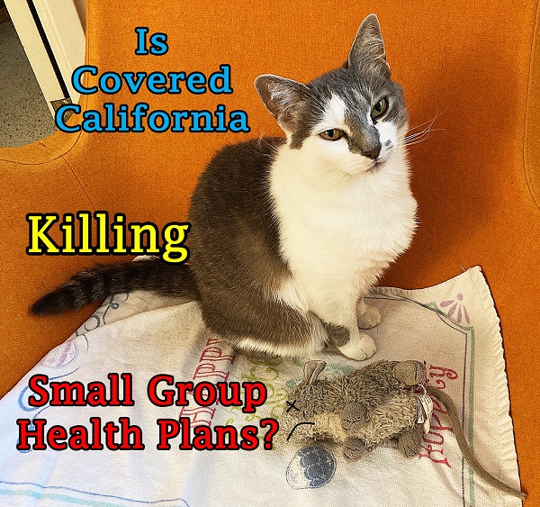 Is Covered California subsidies killing the market for small group health plans?