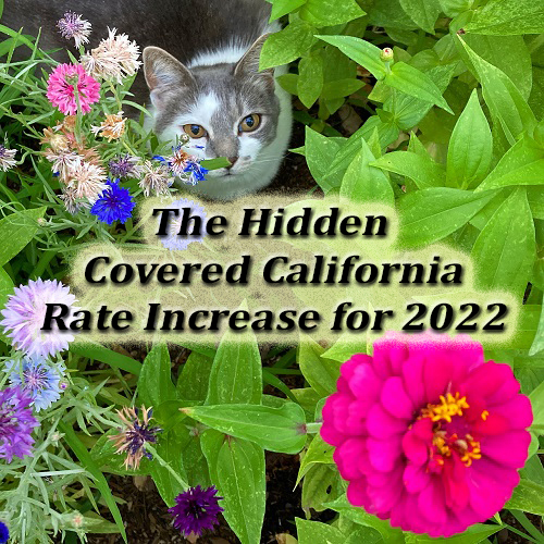 There is a hidden premium increase for some families who benefited from the special 2021 unemployment subsidy through Covered California. The extra subsidy evaporates in 2022.