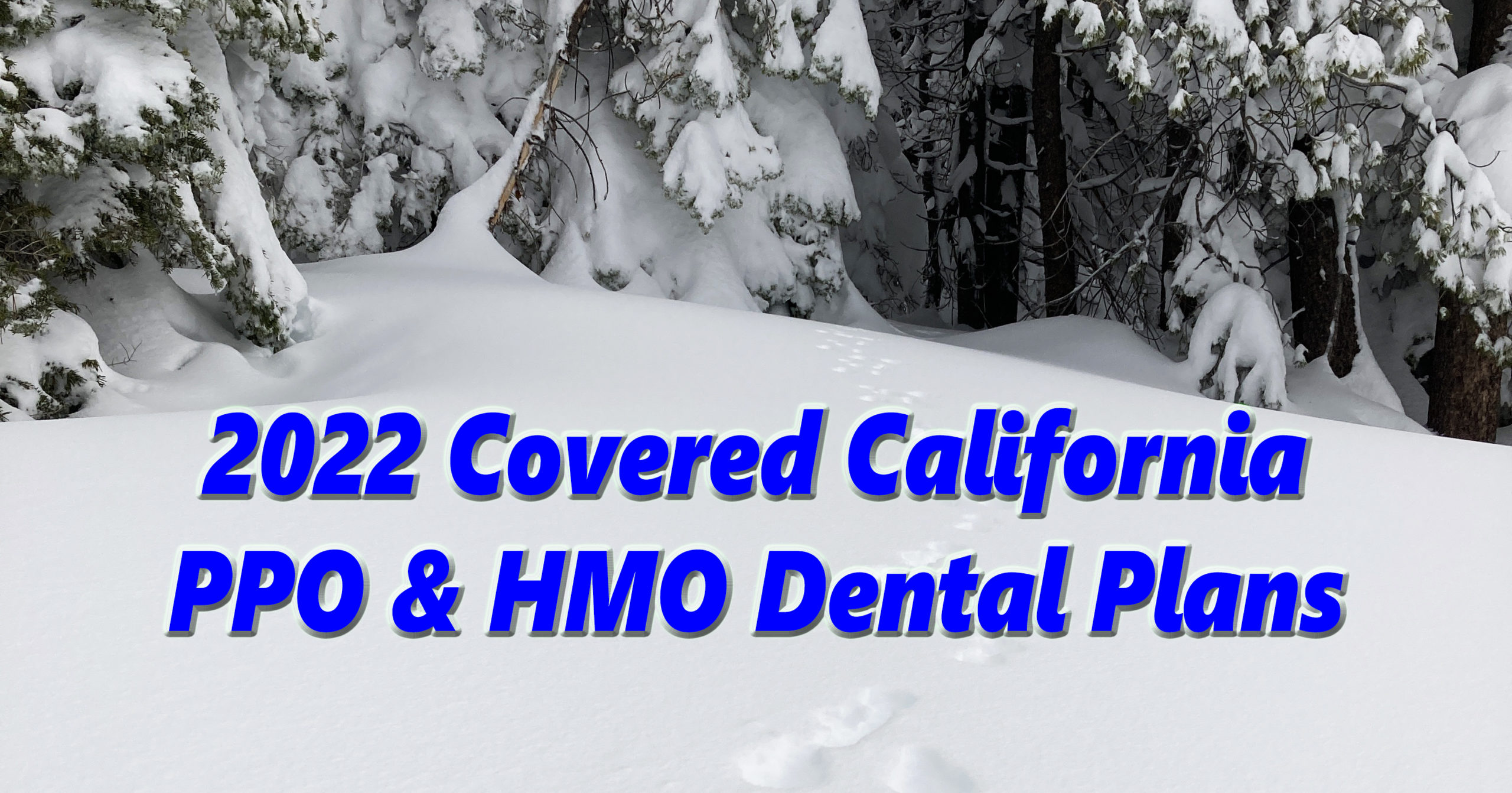 Covered California dental plan summaries for 2022.
