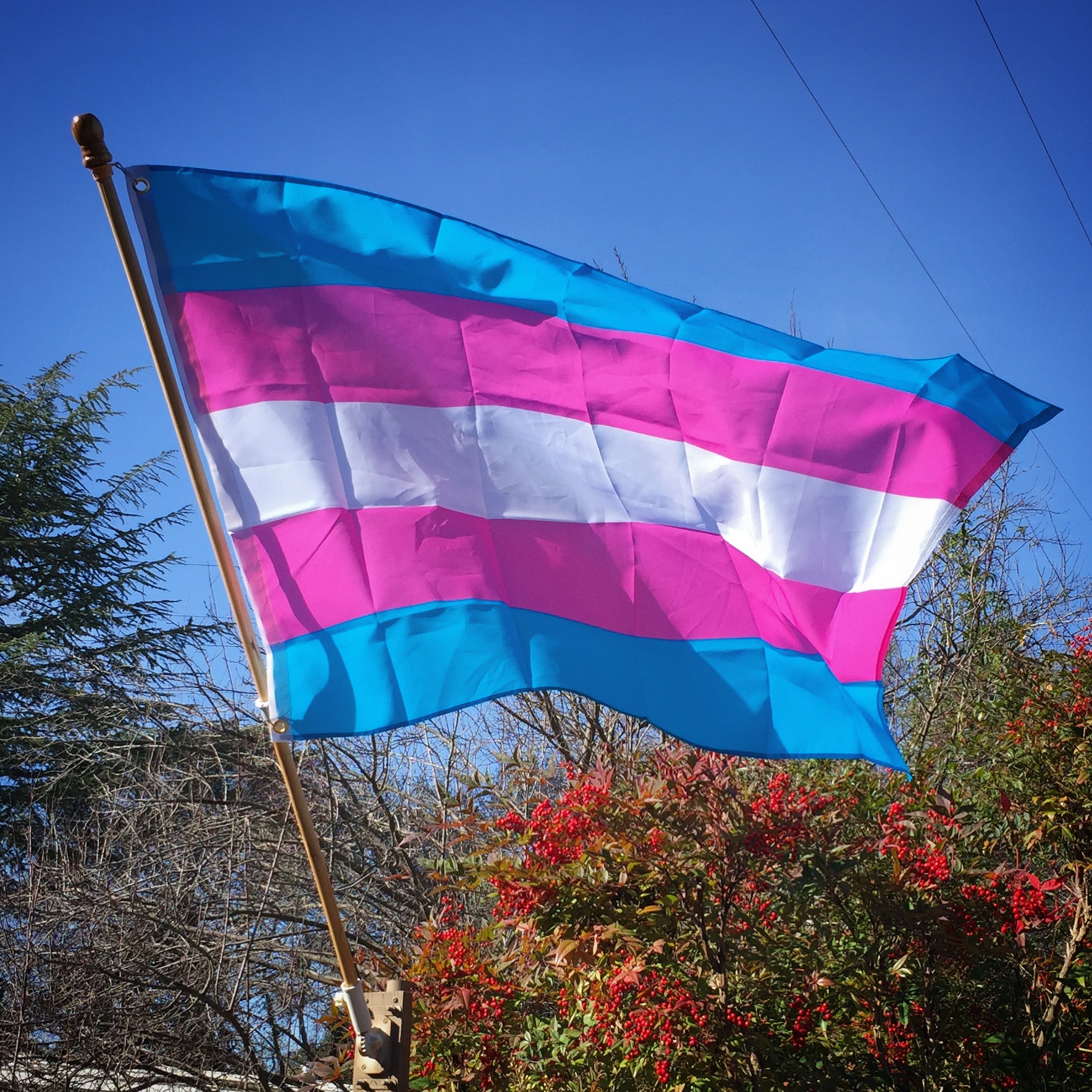 Transgender recognition and pride flag.
