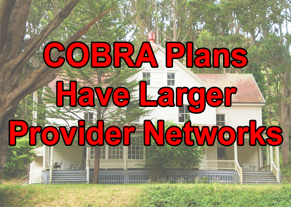 COBRA plans usually have larger provider networks compared to individual and family plans.