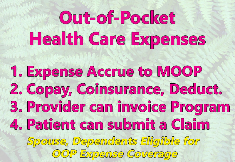 ADAP will help cover out-of-pocket costs associated with health care that accrue toward meeting the out-of-pocket maximum of the plan.