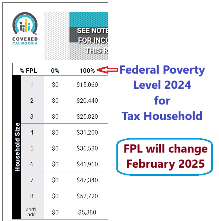 Household size is the tax household size. 100% refers to the federal poverty level.