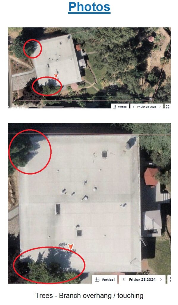 Aerial images showing tree concern from insurance company that led to non-renewal of policy.