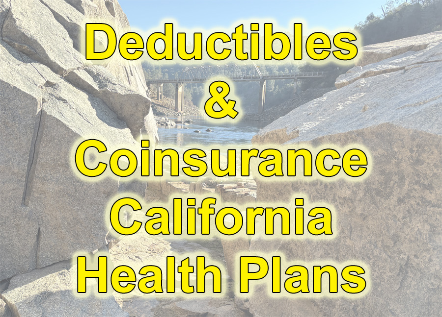 Explanation of medical deductibles and coinsurance.